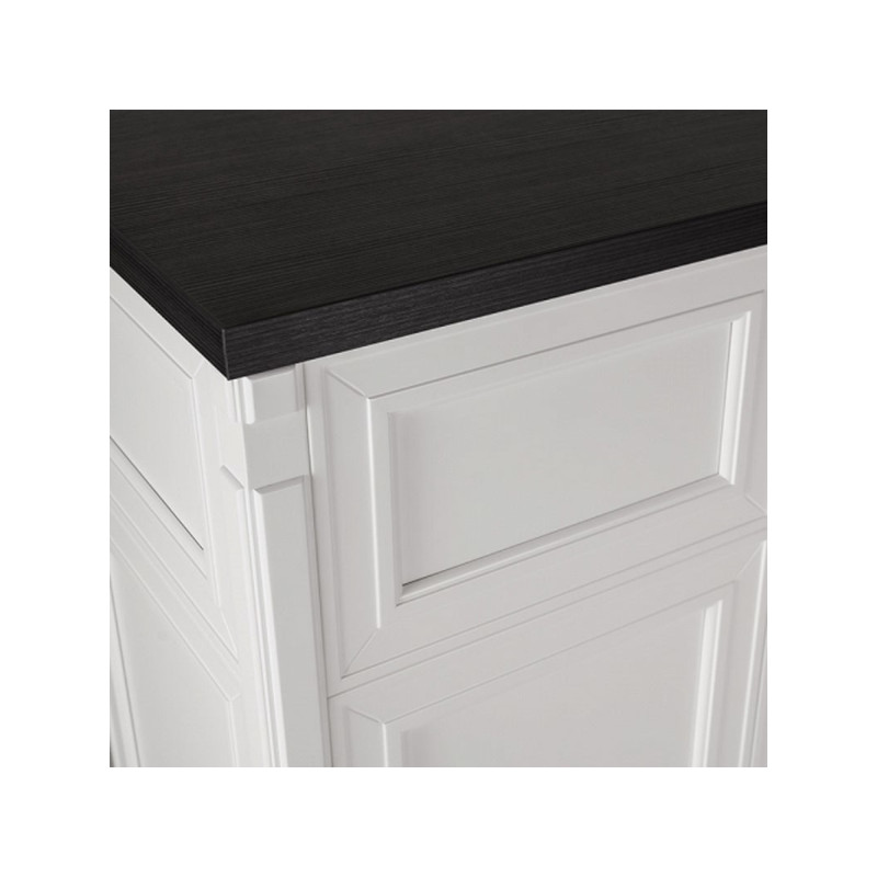 Caisse_d'accueil_BRISTOL_détail_Malys_Equipements