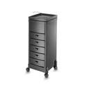 Carro de almacenamiento y coloración EVASION